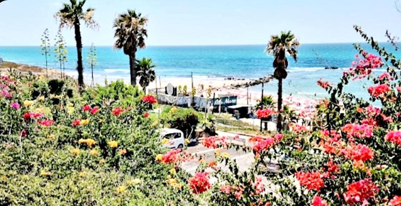 7 Hotel Apartment Short Time Tlv Bat Yam Eksteriør billede