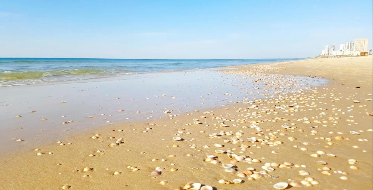 7 Hotel Apartment Short Time Tlv Bat Yam Eksteriør billede